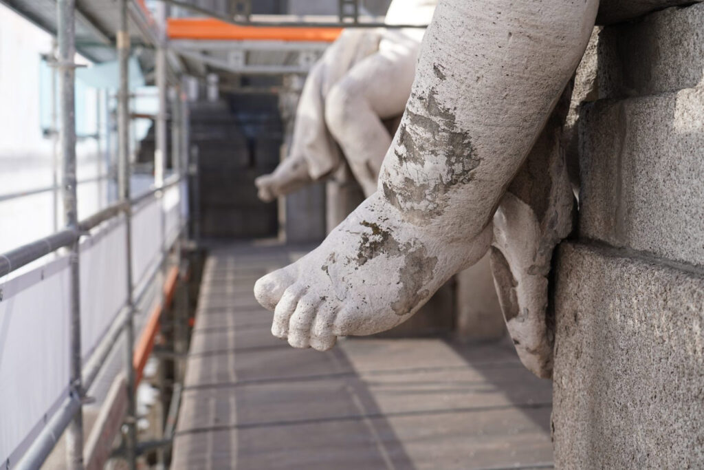 Estudios previos Fotografía de estudios previos